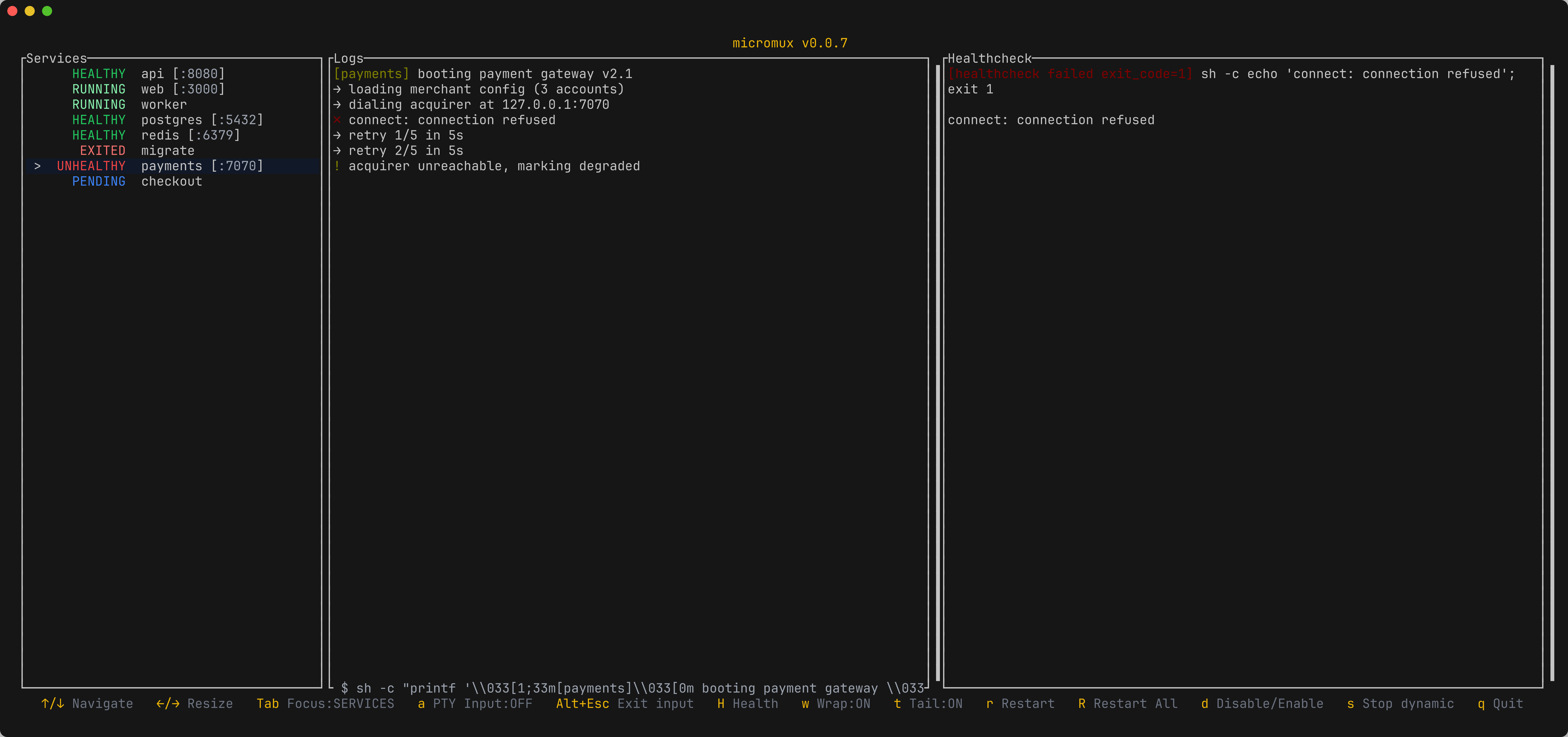 The healthcheck pane showing a failed probe, its command, and its output
